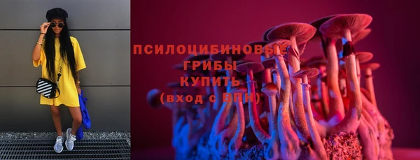 2c-b Алексеевка