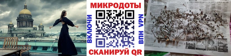 блэк спрут онион  Калтан  Псилоцибиновые грибы прущие грибы 